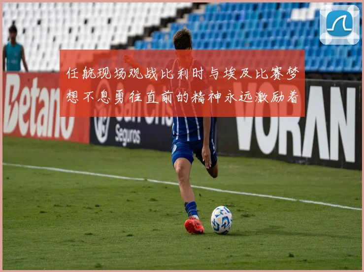 任航现场观战比利时与埃及比赛梦想不息勇往直前的精神永远激励着我们
