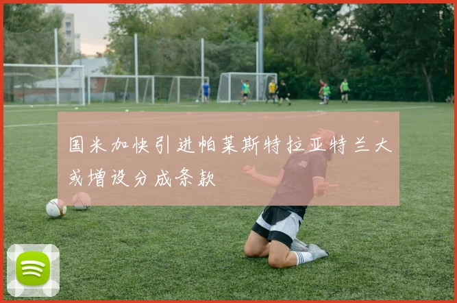 国米加快引进帕莱斯特拉亚特兰大或增设分成条款