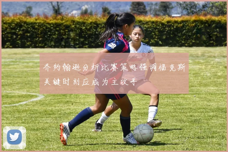 乔约翰逊分析比赛策略强调福克斯关键时刻应成为主攻手