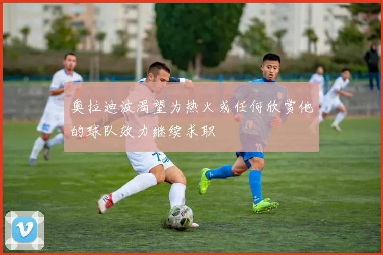 奥拉迪波渴望为热火或任何欣赏他的球队效力继续求职