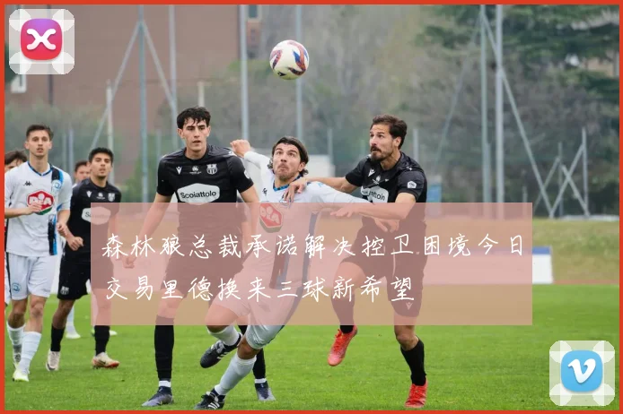 森林狼总裁承诺解决控卫困境今日交易里德换来三球新希望